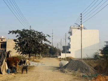 5 BHK Farm House in Sector 118 for resale Noida. The reference number is 20241376