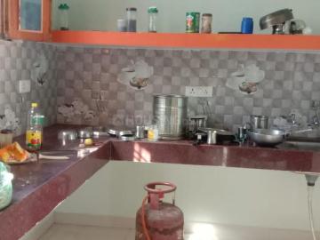 5 BHK Independent House in Dhawari for rent Satna. The reference number is 18394641