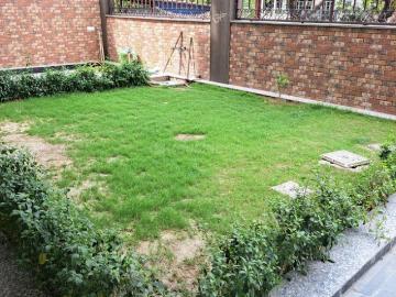5 BHK Independent House in Sector 105 for rent Noida. The reference number is 19804975