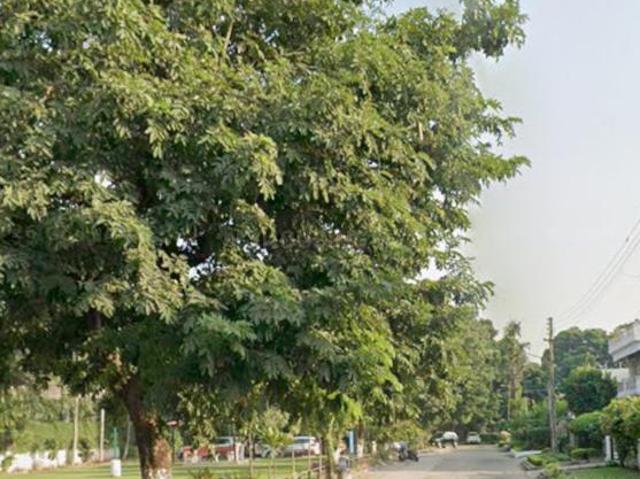 5 BHK Independent House in Sector 33 for resale Chandigarh. The reference number is 20816313