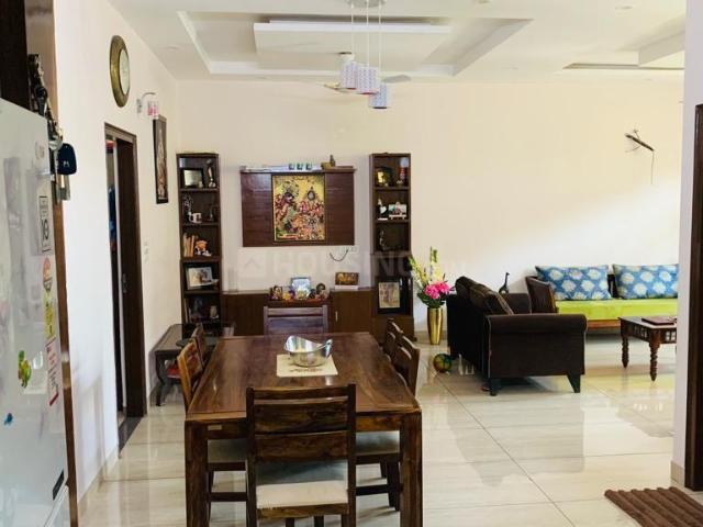 5 BHK Independent House in Sector 60 for resale Mohali. The reference number is 19214245
