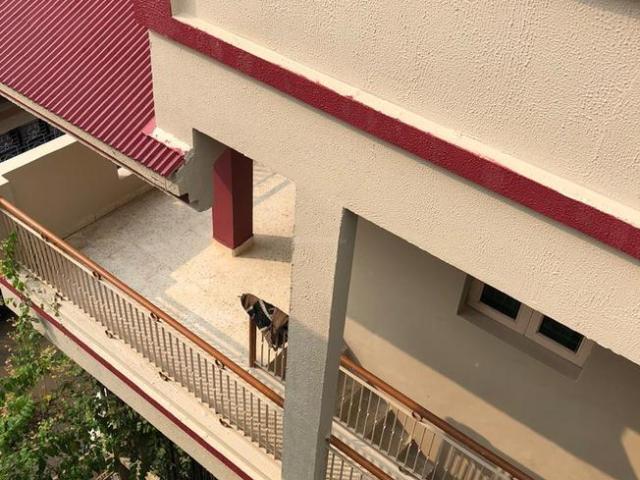 5 BHK Independent House in Shahpur for resale Ahmedabad. The reference number is 7369058