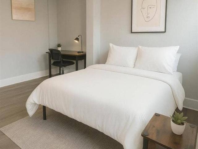 6 BR in Tampa