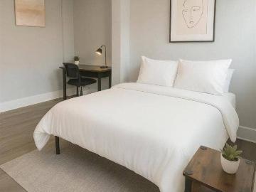 6 BR in Tampa