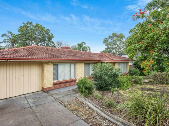 5 caspar street fairview park sa house for rent lj hooker