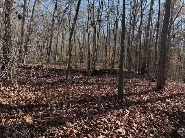5 COUNTY ROAD 751, VALLEY HEAD, AL 35989