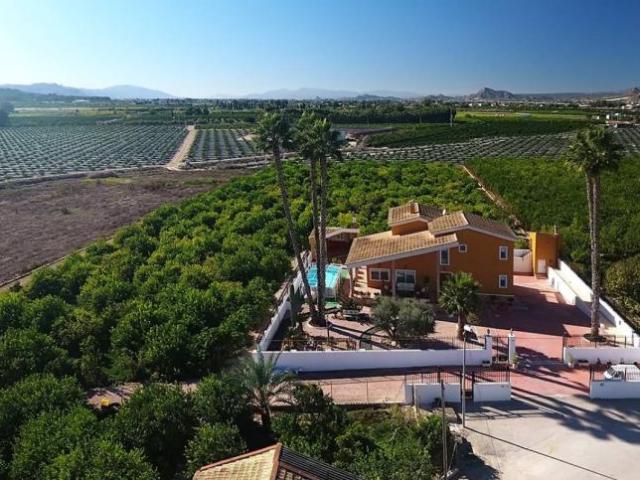5 Dormitorio Casa Orihuela Alicante 93249935