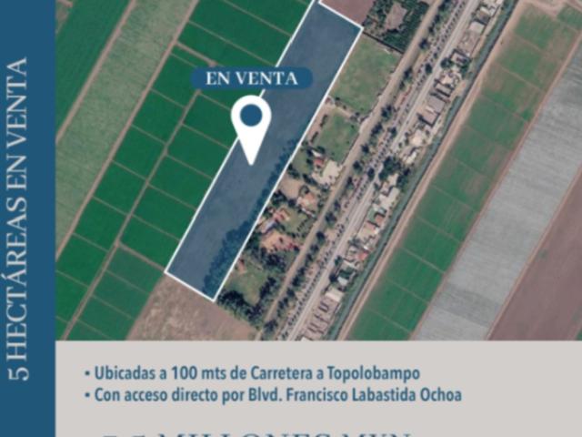 5 HECTÁREAS VENTA