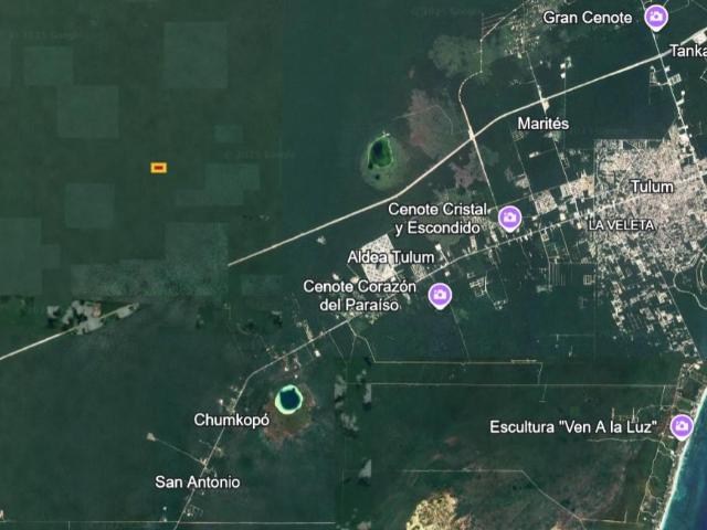 5 Hectareas en Tulum, Colonia Crystal. Se renta por hectarea precio negociable