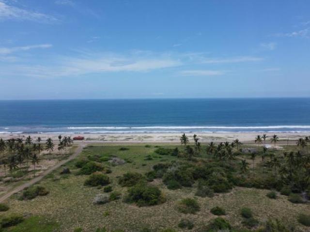 5 Hectareas frente Malecon de Playas El Caimanero