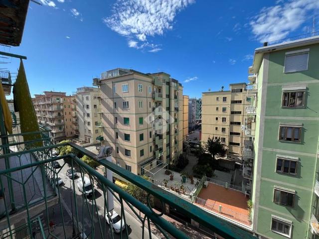 5 locali in affitto
