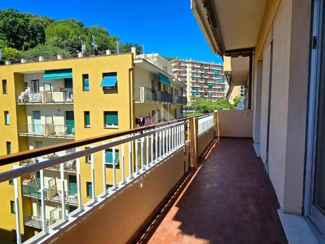 5 locali in affitto