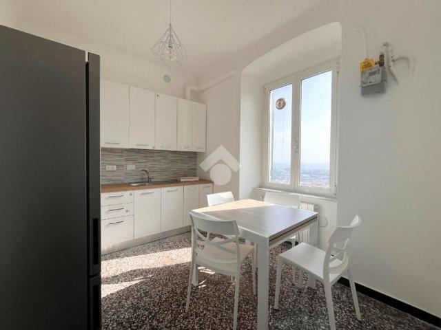 5 locali in affitto