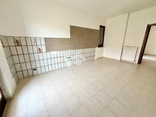 5 locali in affitto