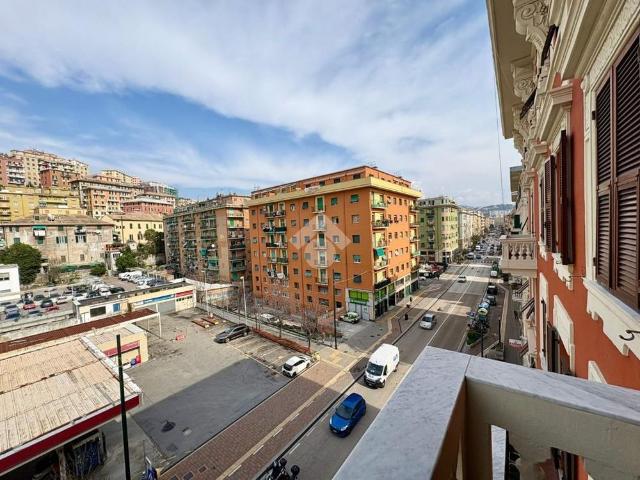 5 locali in affitto