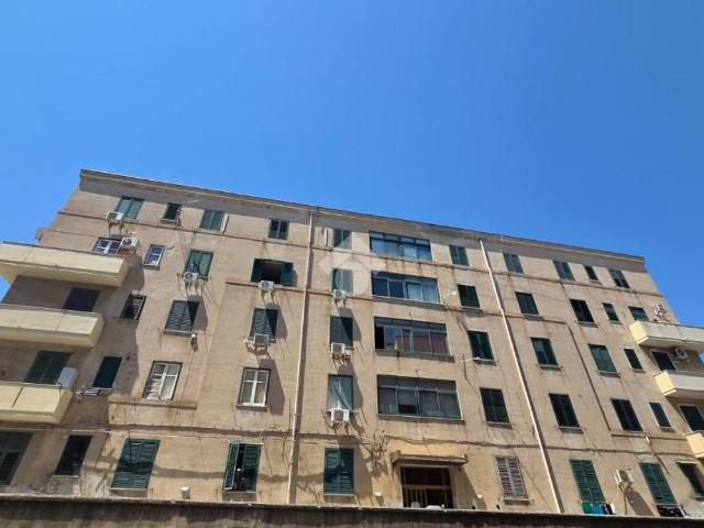 5 locali in affitto