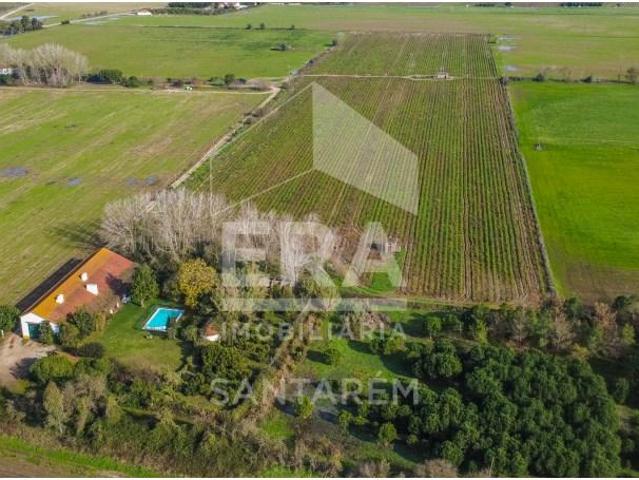 5 quarto, Almeirim Almeirim 101075242