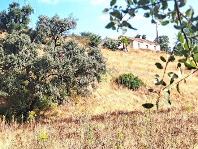 5 quarto, Beja Odemira 7630 104824422