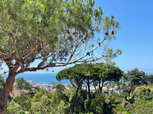 5 quarto, Cascais Cascais 2765 273 105353389