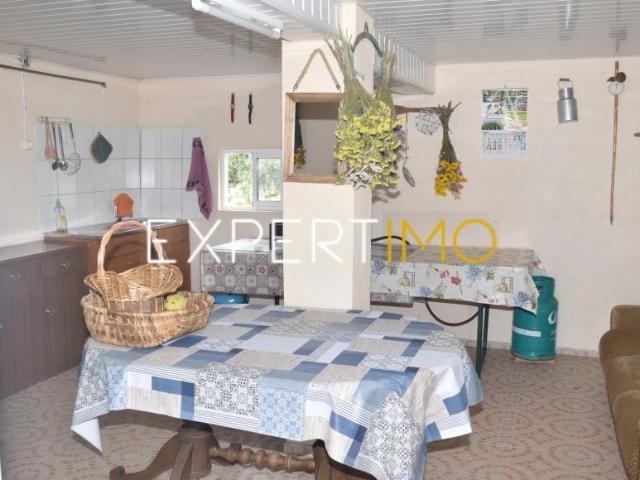 5 quarto, Graça Leiria 102754874