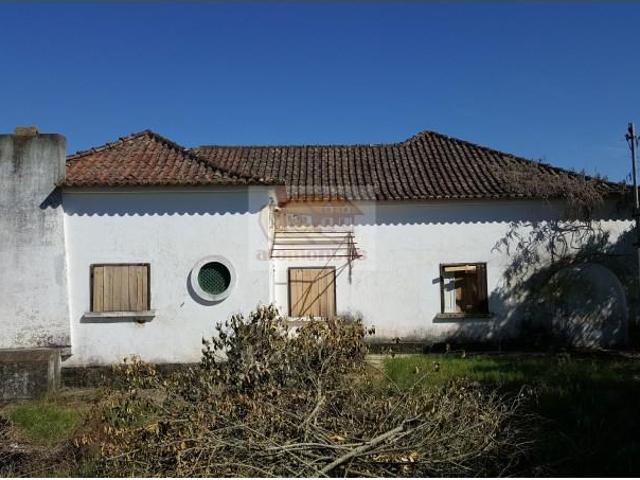 5 quarto, Grândola Grândola 105641443