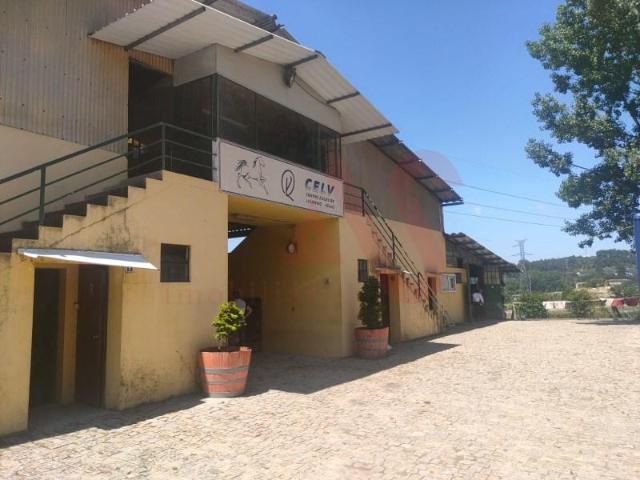 5 quarto, Guimarães Guimarães 4800 177 105428749