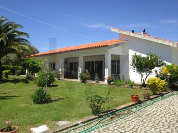 5 quarto, Macedo de Cavaleiros Macedo de Cavaleiros 102921646