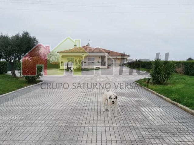 5 quarto, Palmela Palmela 104153965