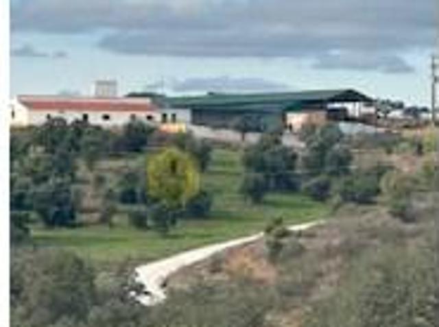 5 quarto, Reguengos de Monsaraz Reguengos de Monsaraz 99015525