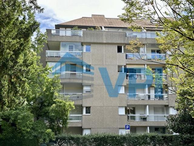5 room apartment Petit Saconnex near UN