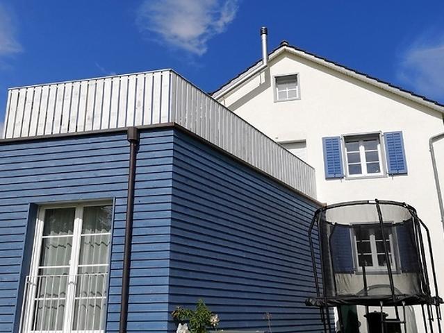 5½ room house in Uetikon am See ZH, furnished, temporary