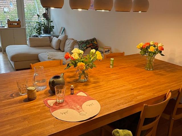 5½ room maisonette apartment in Stadel Winterthur, furnished, temporary