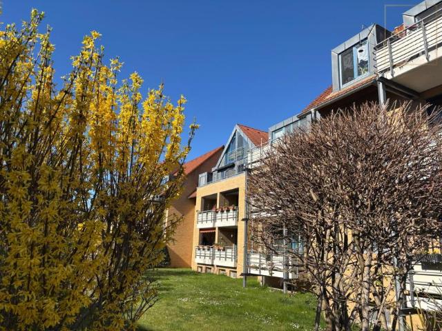 5 Schlafzimmer Wohnung Machern Machern 105449677