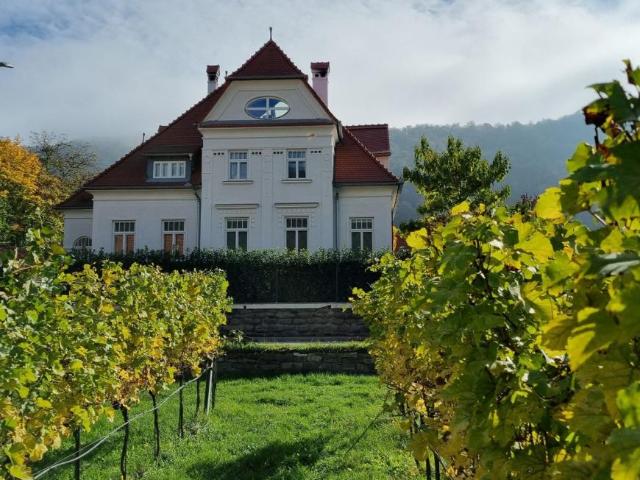 5 Schlafzimmer Wohnung Niederösterreich Niederösterreich 105346921