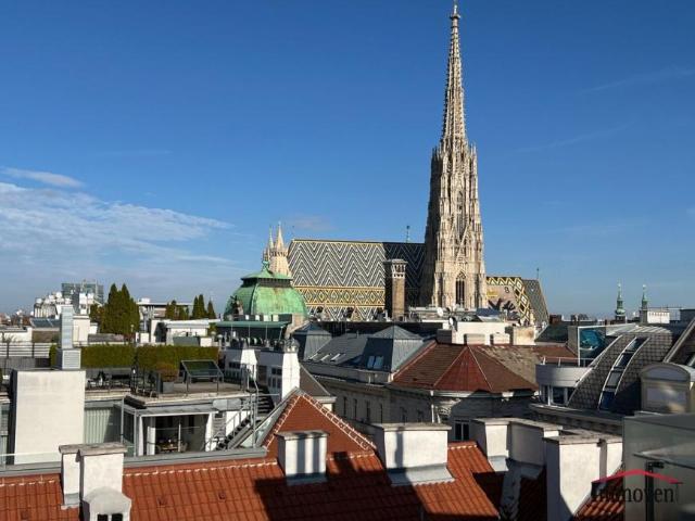 5 Schlafzimmer Wohnung Wien Wien 104844707