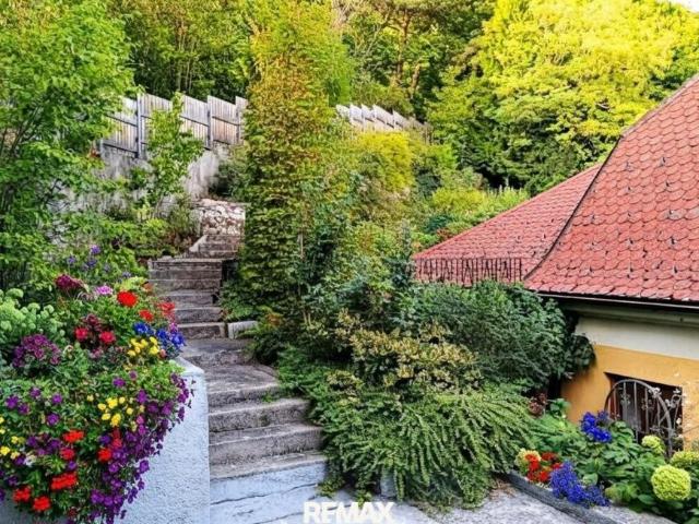 5 Schlafzimmer Haus Niederösterreich Niederösterreich 105555947