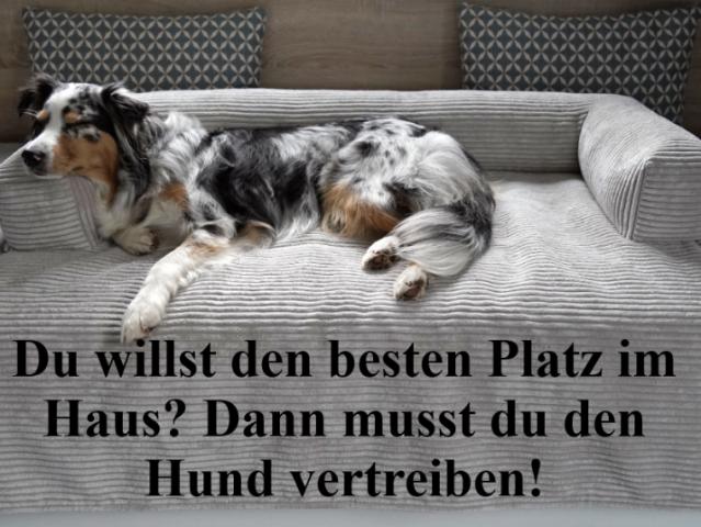 5 Schlafzimmer Haus Erftstadt Deutschland 89862615