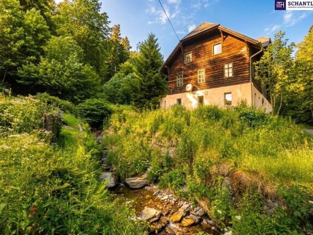 5 Schlafzimmer Haus Steiermark Steiermark 104827868