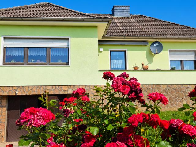 5 Schlafzimmer Haus Sangerhausen Deutschland 103596539