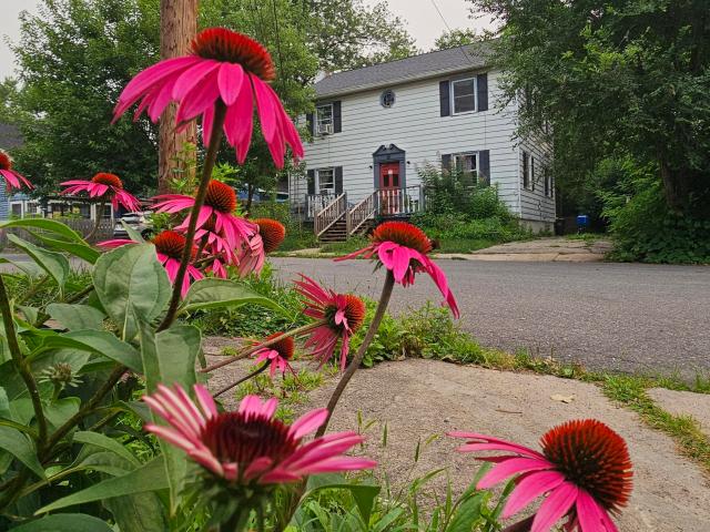 5 Snyder Avenue