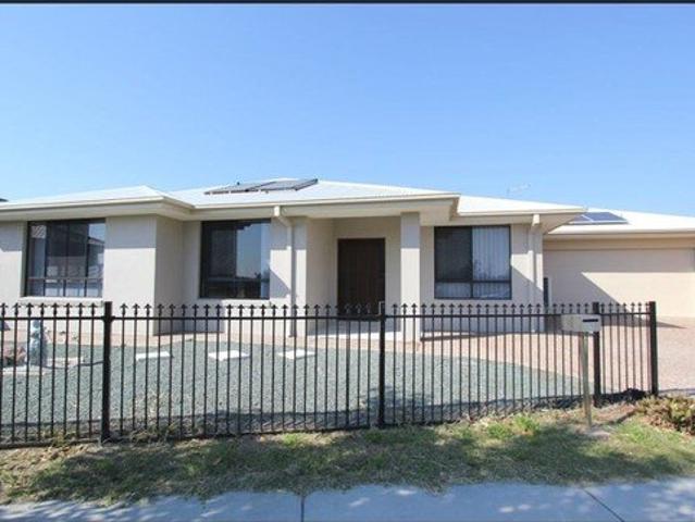 5 South Quarter Dr, Loganlea