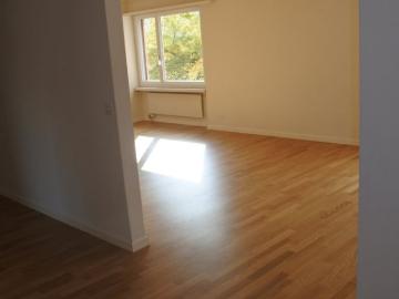 Schlieren, Bezirk Dietikon, Kanton Zürich