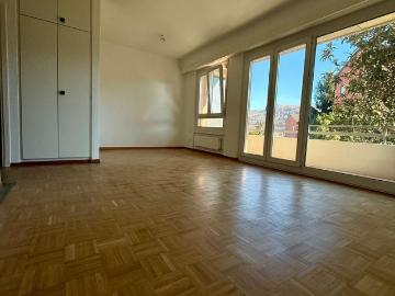 Agno, Gemeinde Agno, Bezirk Lugano, Tessin