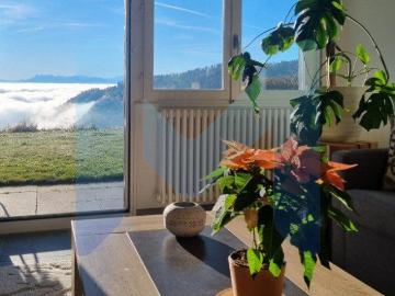 5 Zimmer, 148 m²