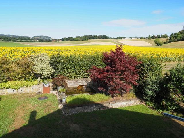5 Zimmer, 170 m²
