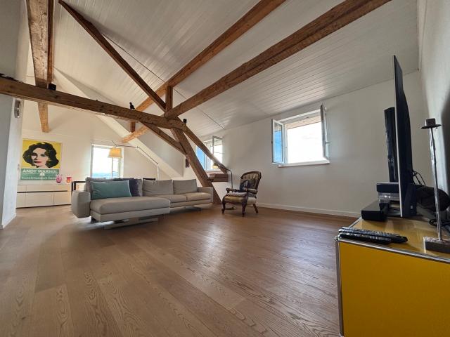 5 ZIMMER DACHWOHNUNG IN FÜLLINSDORF BL, MÖBLIERT, TEMPORÄR