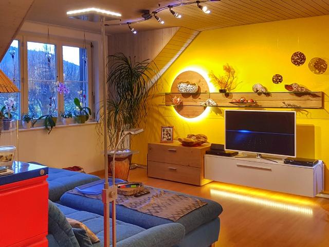 5½ ZIMMER MAISONETTEWOHNUNG IN SIGGENTHAL STATION AG, MÖBLIERT, TEMPORÄR