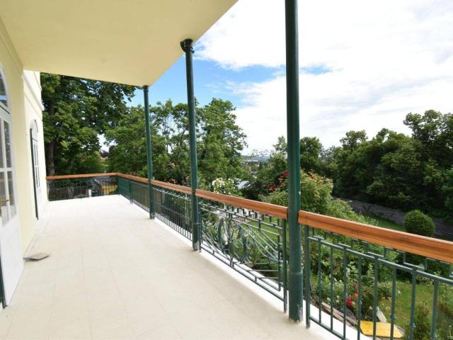 5 Zimmerwohnung mit großzügiger Terrasse in der Rosenvilla!