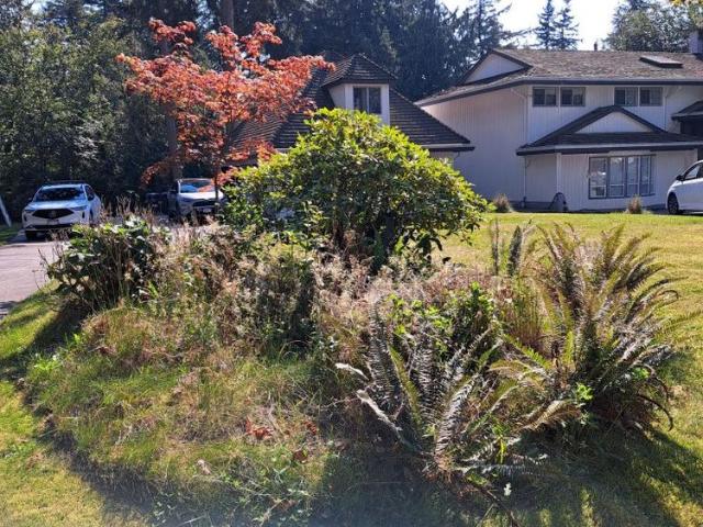 $5,000 / 5br – 43560ft2 – South Surrey 3500sq/ft, 5bed/4bath, one Acre land house Surrey R0062