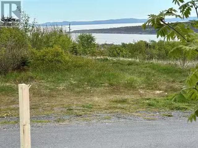 5 15 Stevensons Road, Harbour Grace, NL, A0A 2M0 vacant land.